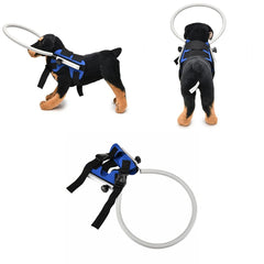 Coleira Peitoral Guia Cachorro Cego Cães Problemas de Visão Arco Anti-colisão Deficiência Ocular