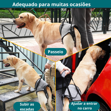 Suporte Auxiliar Com Alça Para Cachorro Cães Cão Displasia Deficiente Com Dificuldade Para Andar Pernas Traseiras