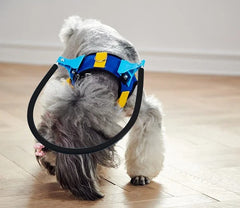 Coleira Peitoral Guia Cachorro Cego Cães Problemas de Visão Arco Anti-colisão Deficiência Ocular