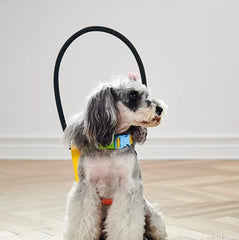 Coleira Peitoral Guia Cachorro Cego Cães Problemas de Visão Arco Anti-colisão Deficiência Ocular