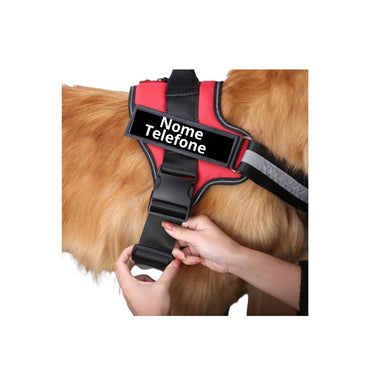 Peitoral Pet Cachorro Personalizado Caes  Nome Teleone