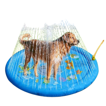 Piscina com aspersor de água para cães. Refrescante para o calor do verão