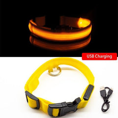 Collar for dogs Anti-Lost/Avoid car accident with LED light. - The LionDog Shop