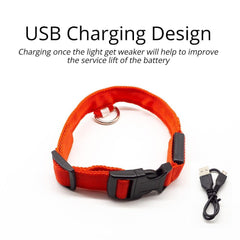 Collar for dogs Anti-Lost/Avoid car accident with LED light. - The LionDog Shop