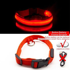 Collar for dogs Anti-Lost/Avoid car accident with LED light. - The LionDog Shop