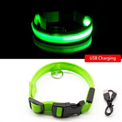 Collar for dogs Anti-Lost/Avoid car accident with LED light. - The LionDog Shop