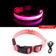 Collar for dogs Anti-Lost/Avoid car accident with LED light. - The LionDog Shop