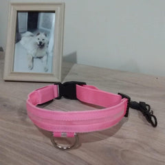 Collar for dogs with LED light. - The LionDog Shop
