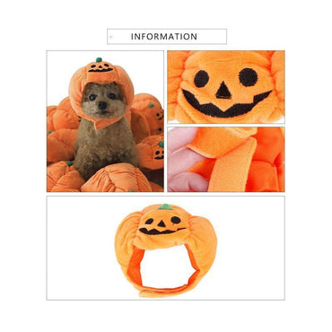 Halloween Pumpkin Pet Hat. For Cats and Small dogs - The LionDog Shop