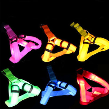 Harness with LED light - The LionDog Shop