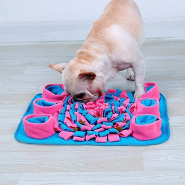 Olfactory mat for dogs - The LionDog Shop